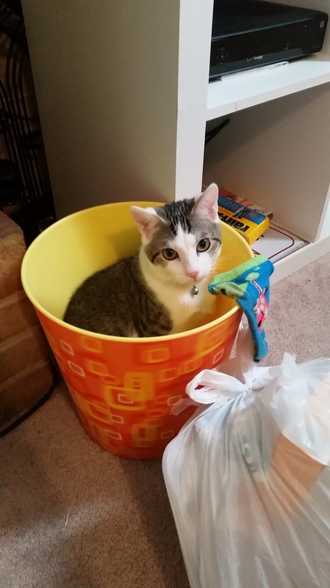 关键先生布克，连续得分奠定胜局，奇才客场击败独行侠