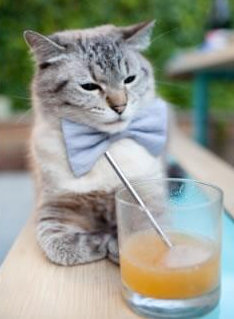 从李刚仁到大场面革命，沙特如何用不对称战术掀翻奥地利足球教科书