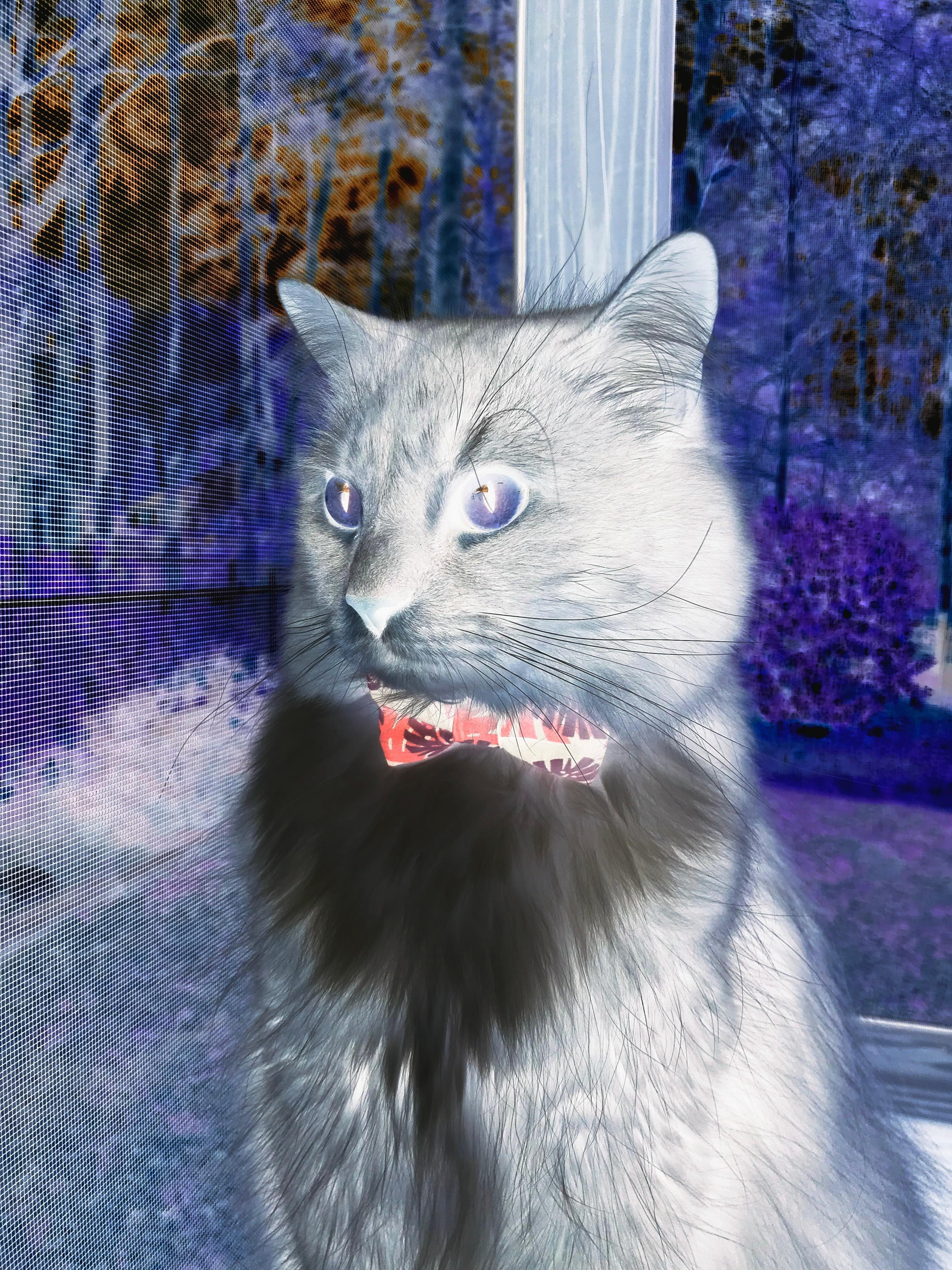 唯一性，为什么西甲德比的极致较量，总在另一种运动里找到回响？