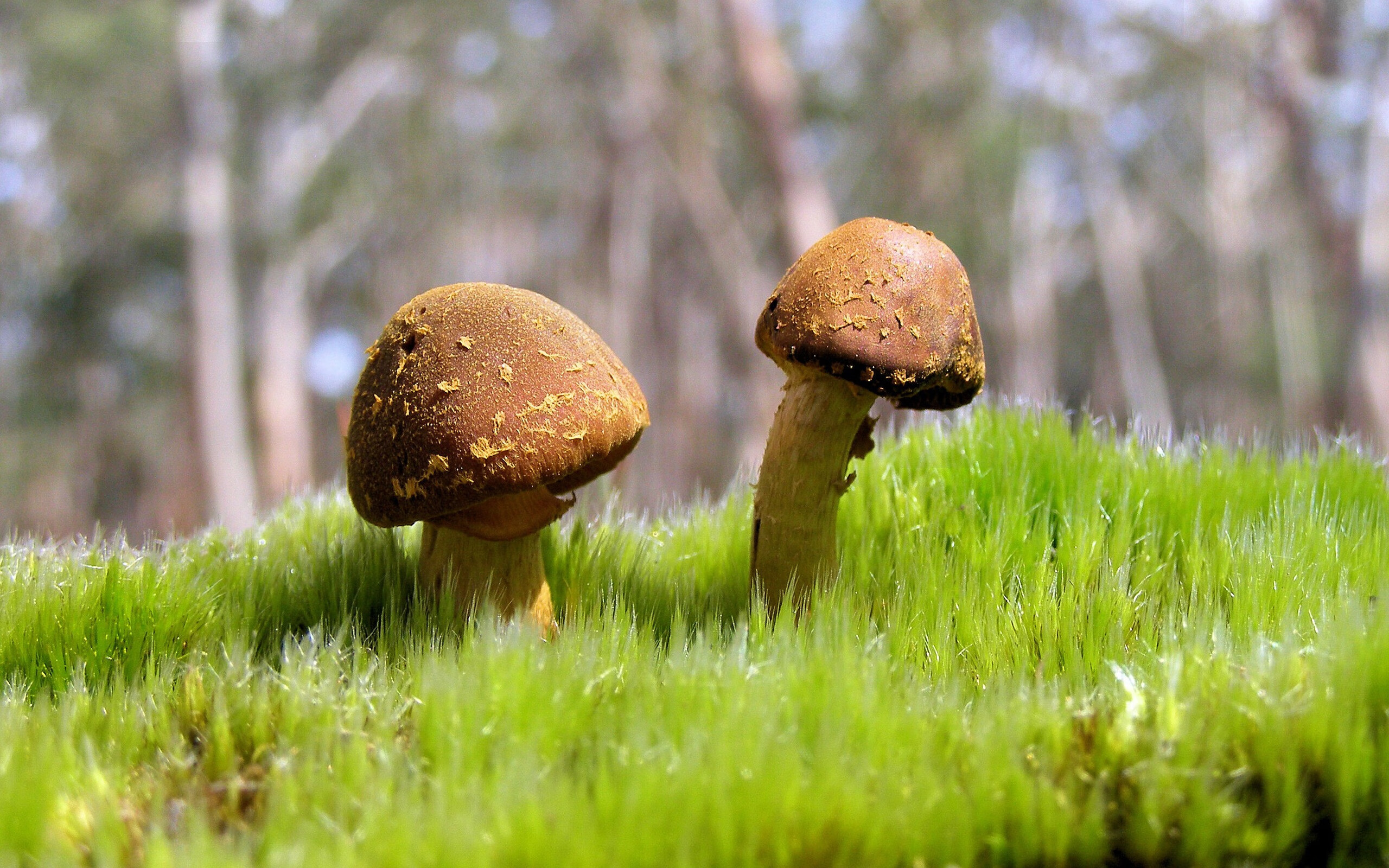 破茧成蝶的夜晚，乔治如何用一记上篮终结浙江队的心魔