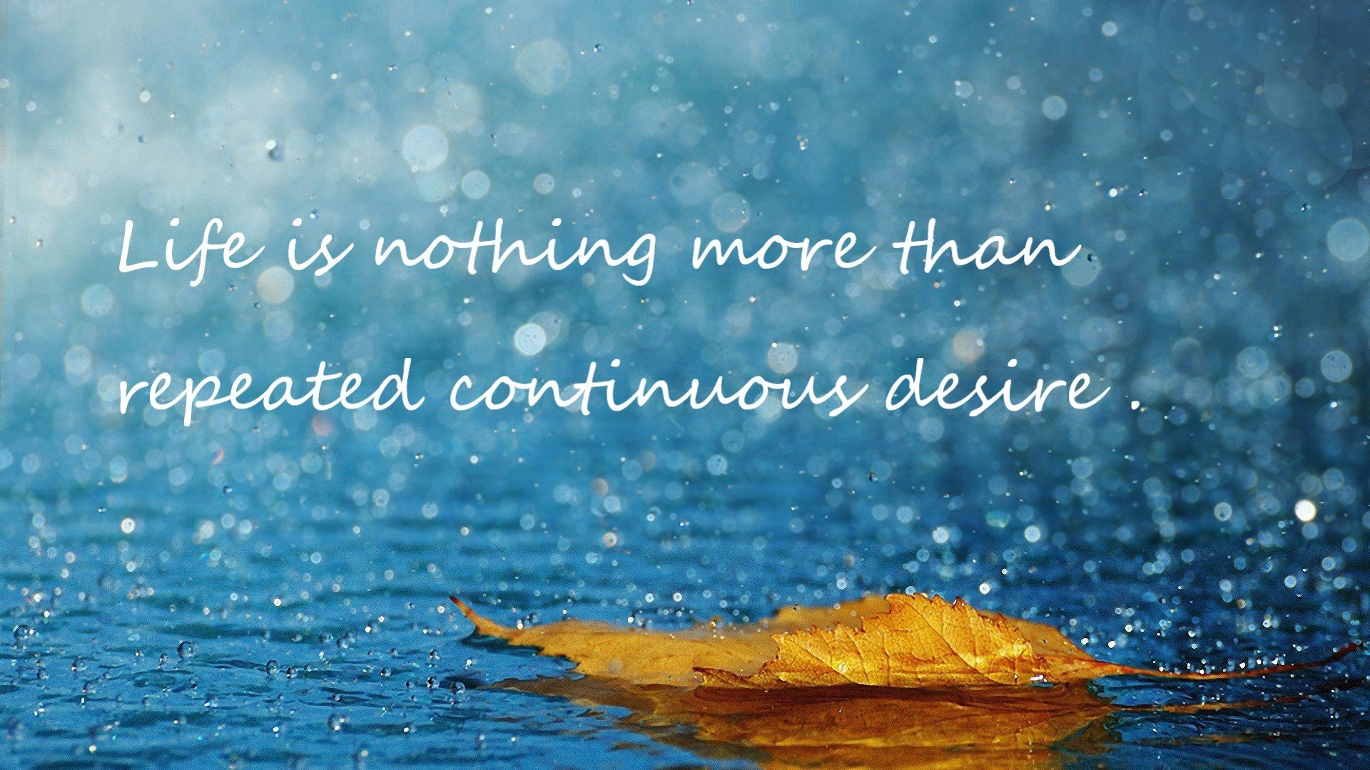 开云体育官网-平行宇宙的对决，当库里跨越时空统治了活塞与爵士之战