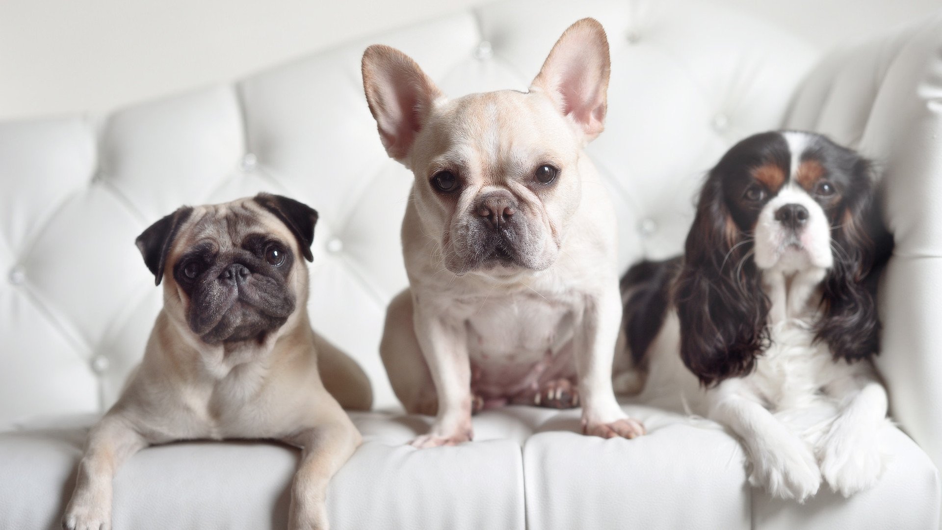 终极试炼，字母哥50分神迹难救主，凯尔特人双星破勇士铁壁晋级