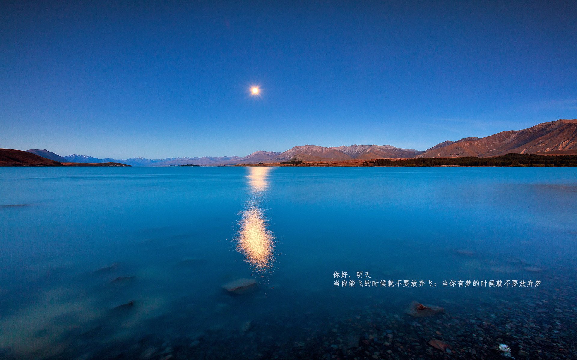 铁骑破风车，罗德里戈全程高能导演马赛稳稳拿下荷兰强敌