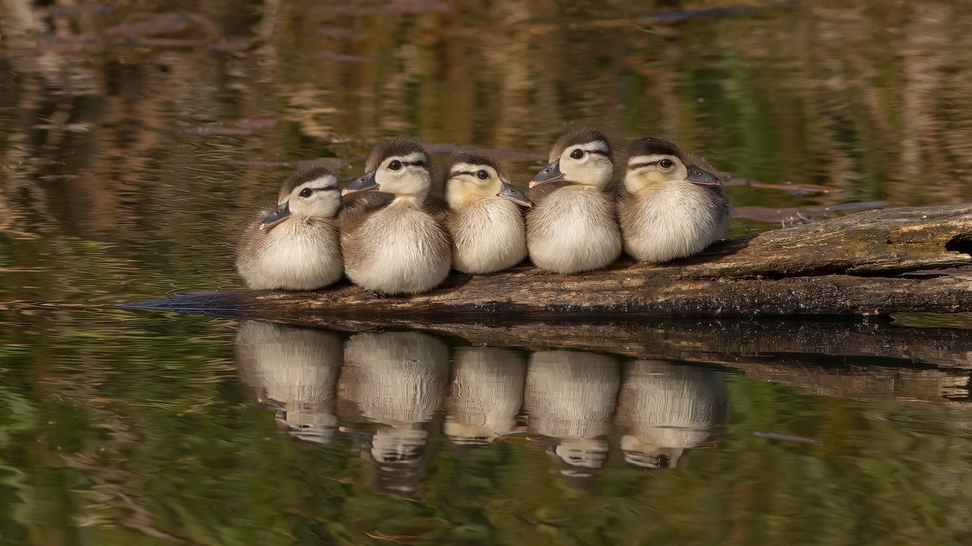 开云体育2026-圣保罗与午夜钟声，抢七之夜的里程碑与迷雾