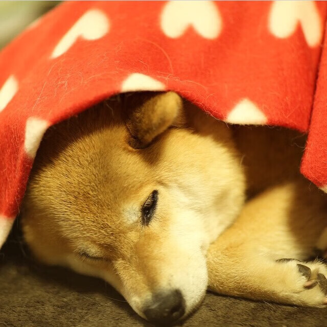 开云体育中国-平行时空的友谊赛，凯恩在牙买加完成自我救赎