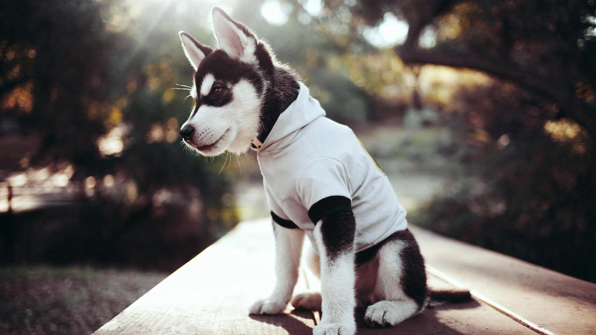 开云体育2026-末节狂飙与天王山，双线战事诠释终极赛场上的终结者