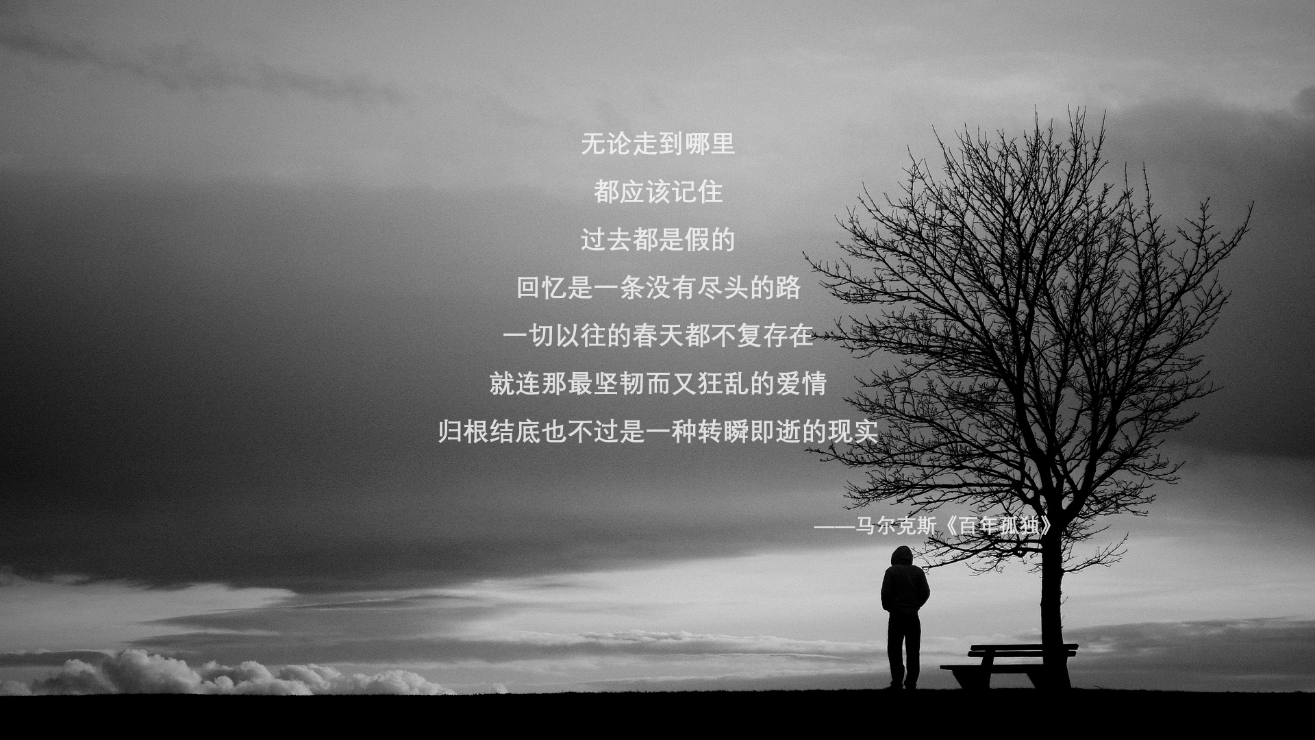 北欧神话破晓,哈兰德独造四球,丹麦血洗瑞典锁定B组头名