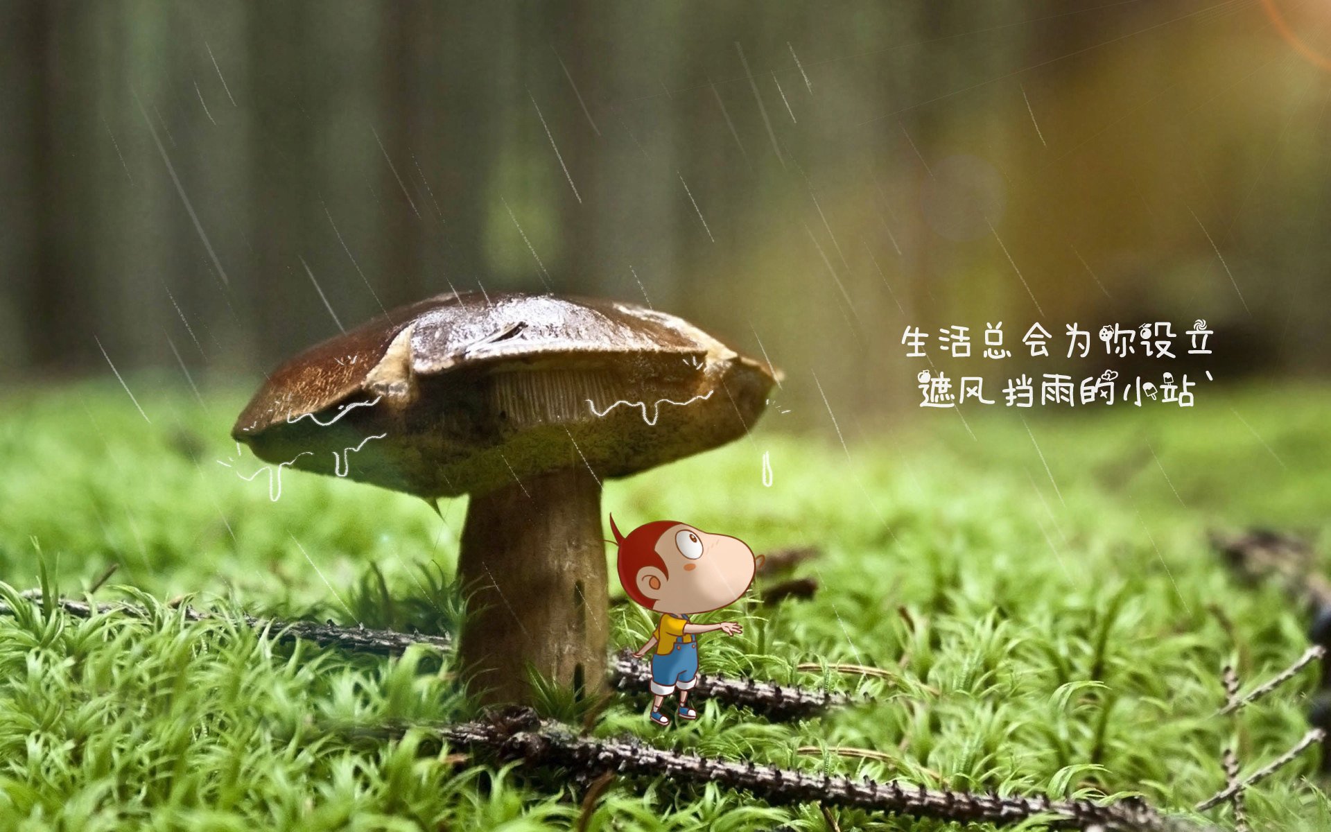 开云体育-当太极虎的神谕被北欧魔人改写，一场名为唯一的2026世界杯D组悖论