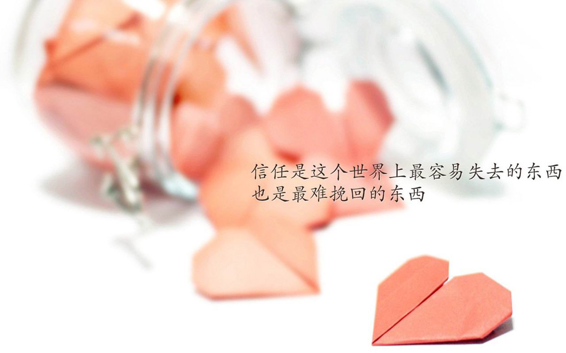 十六年后,亚洲铁壁崩于虎啸,2026世界杯C组焦点战,加维的血色十分钟与阿根廷的绝杀重生
