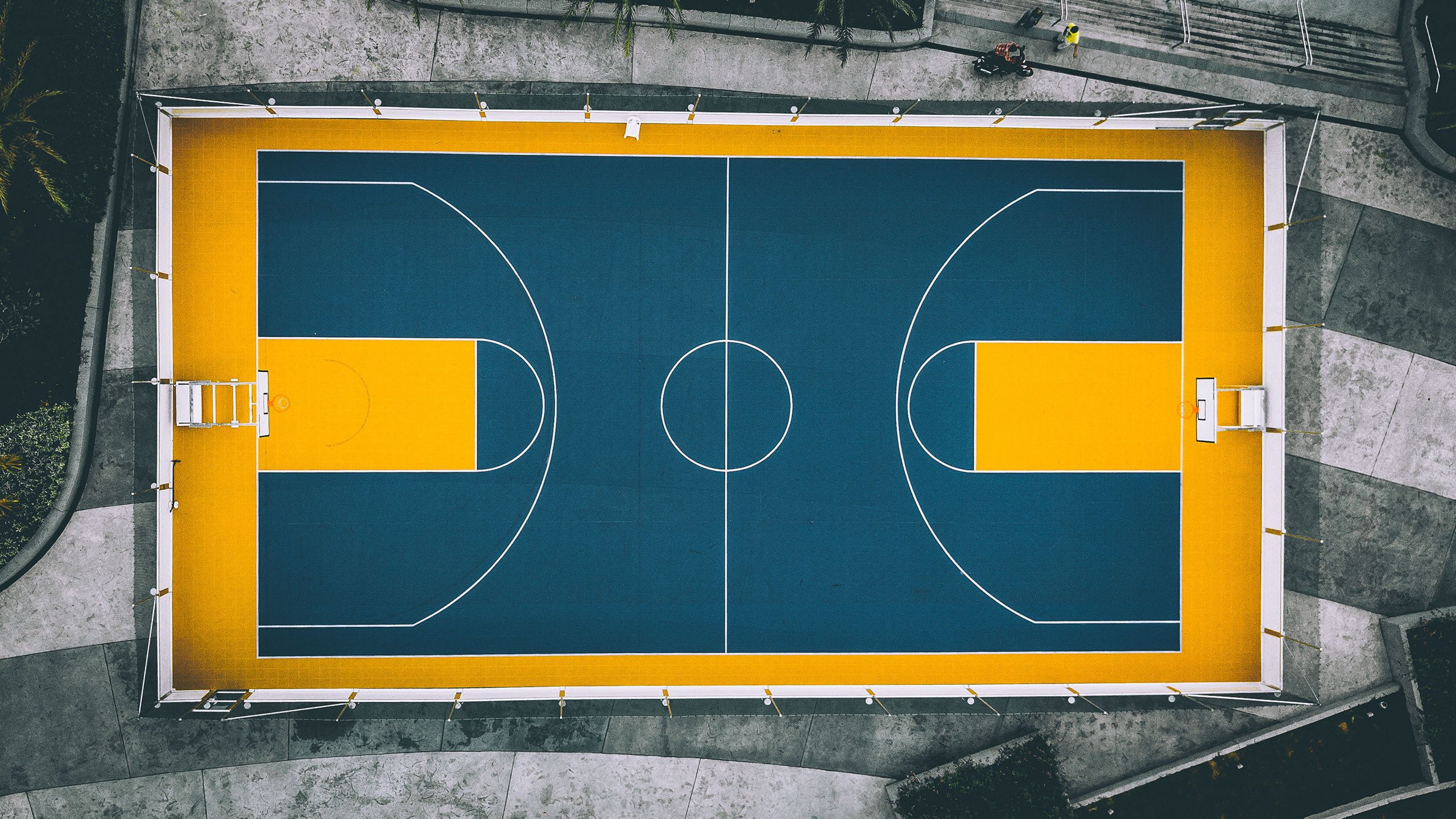 玫瑰与军刀的冷雨夜,2026世界杯H组,保加利亚撕碎蓝色闪电的尊严,坎塞洛献上致命一击